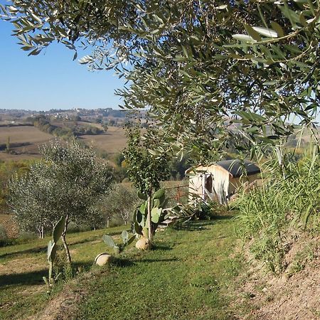 La Luna Nell'Orto-Casa Vacanza Ecologica E Agricoltura Biodinamica Barchi 外观 照片