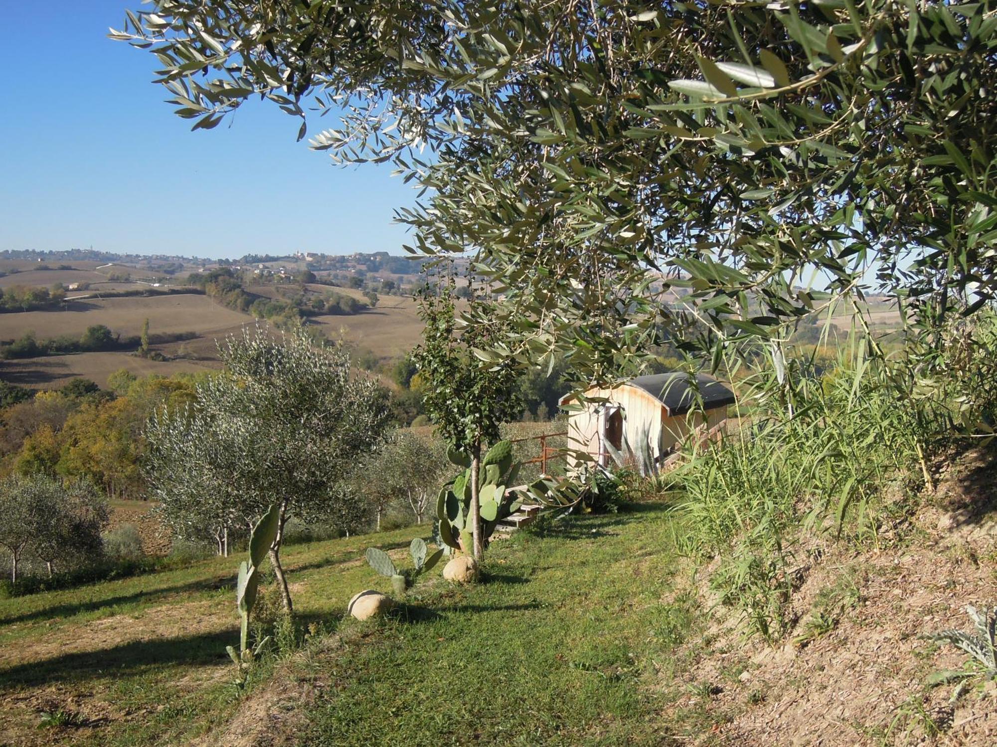 La Luna Nell'Orto-Casa Vacanza Ecologica E Agricoltura Biodinamica Barchi 外观 照片