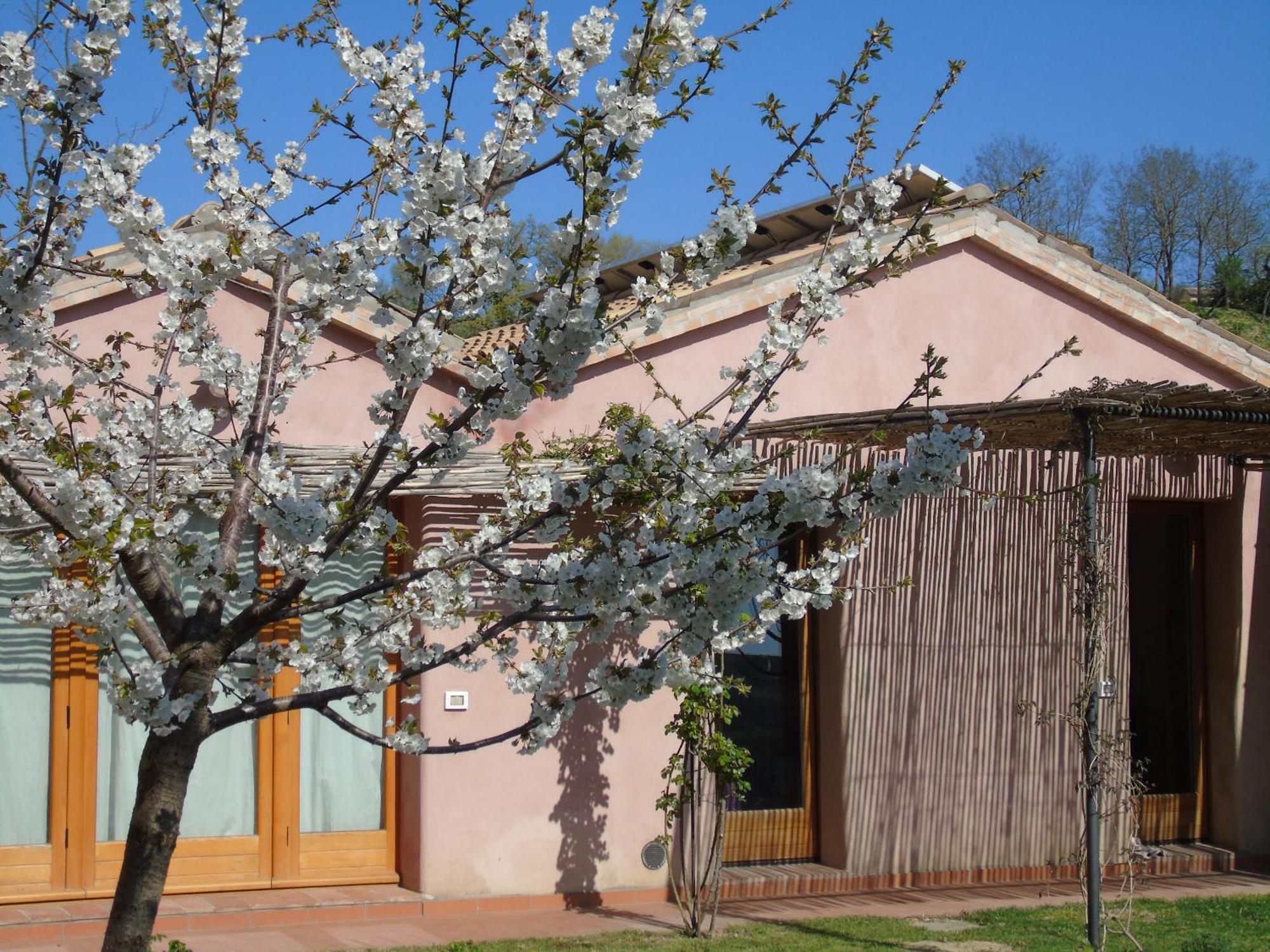 La Luna Nell'Orto-Casa Vacanza Ecologica E Agricoltura Biodinamica Barchi 外观 照片