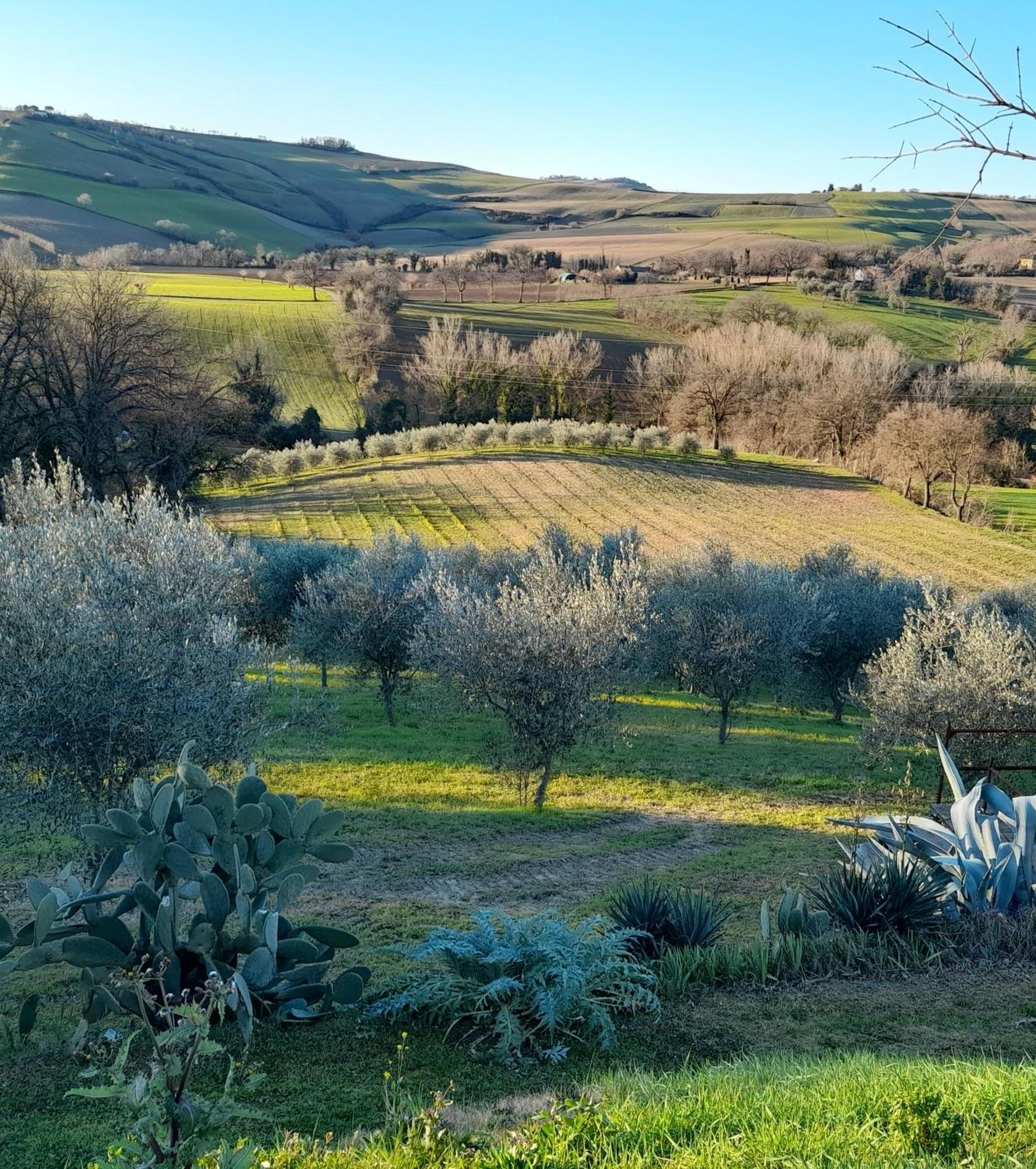 La Luna Nell'Orto-Casa Vacanza Ecologica E Agricoltura Biodinamica Barchi 外观 照片